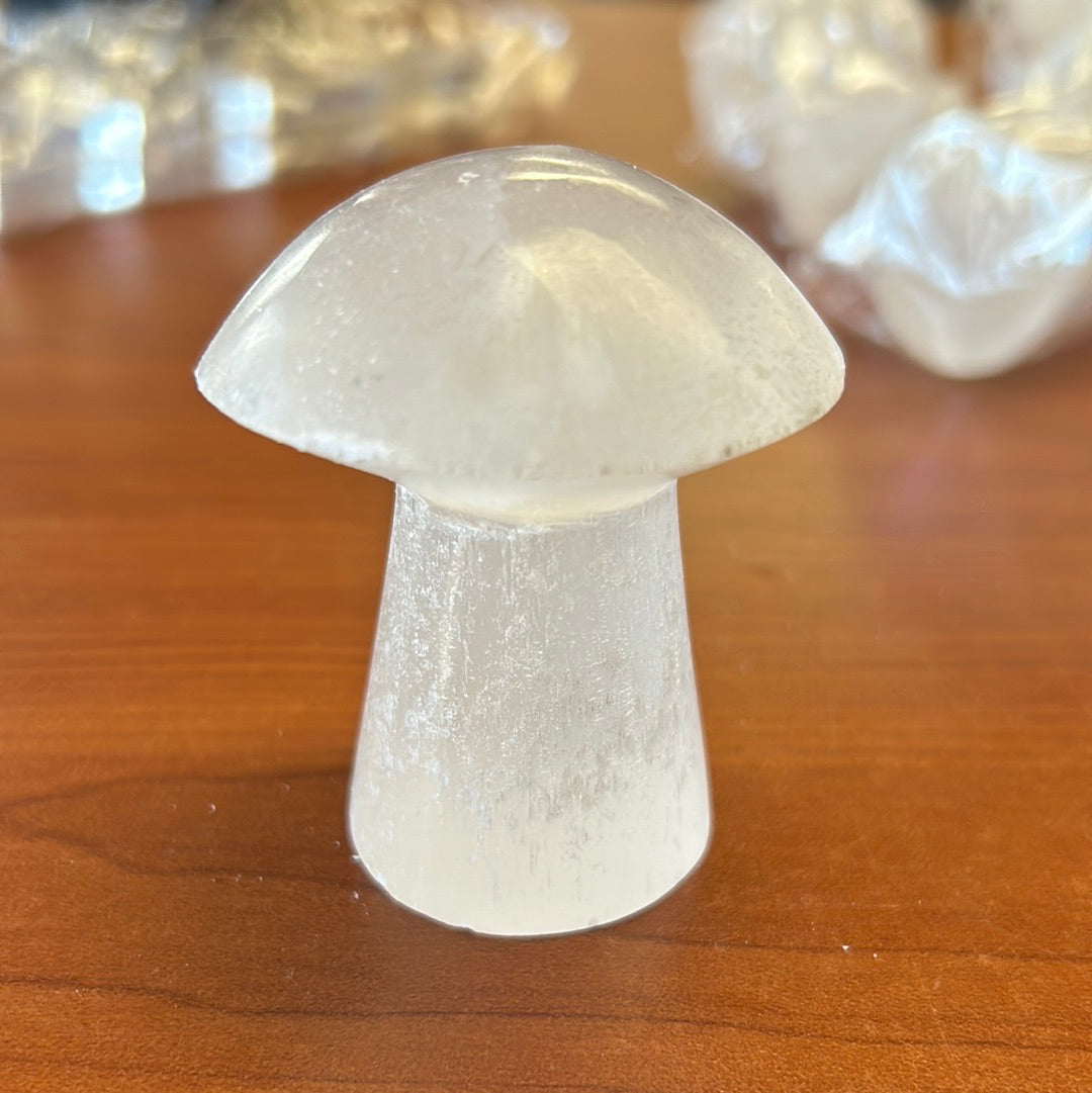 Selenite Mushroom Mountain Mineral Market
